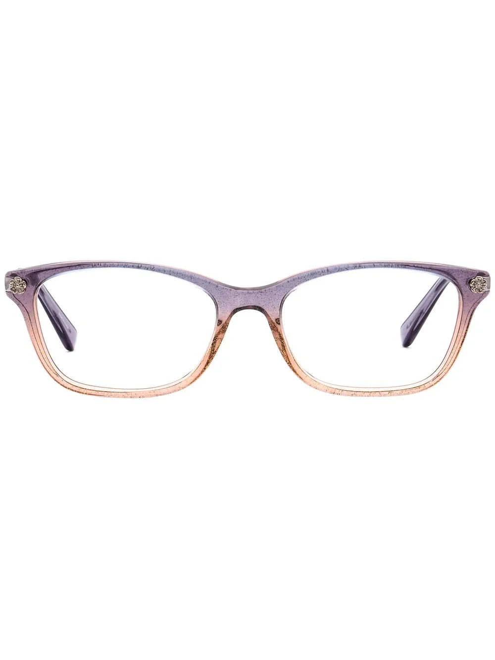 Coach HC 6142 5554 Eyewear